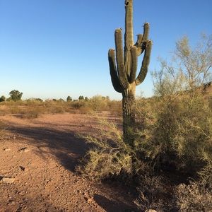 Meet your Posher, Cherie